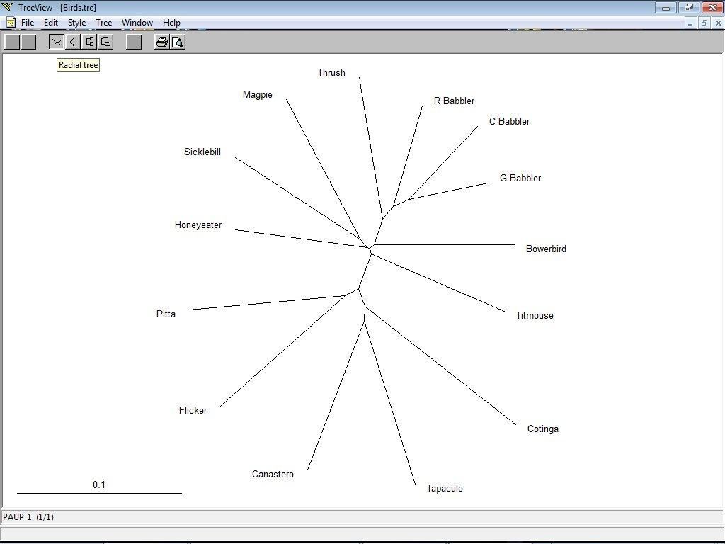 Tree Software For Windows TreeView download for free - SoftDeluxe