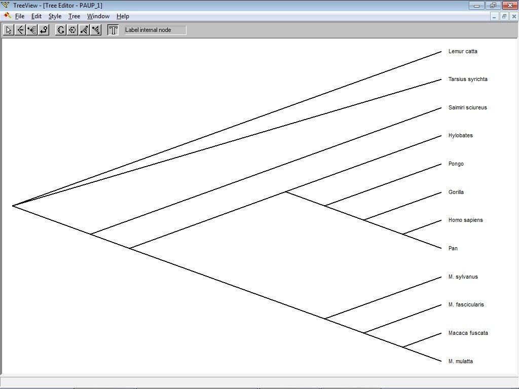 TreeView download for free - SoftDeluxe