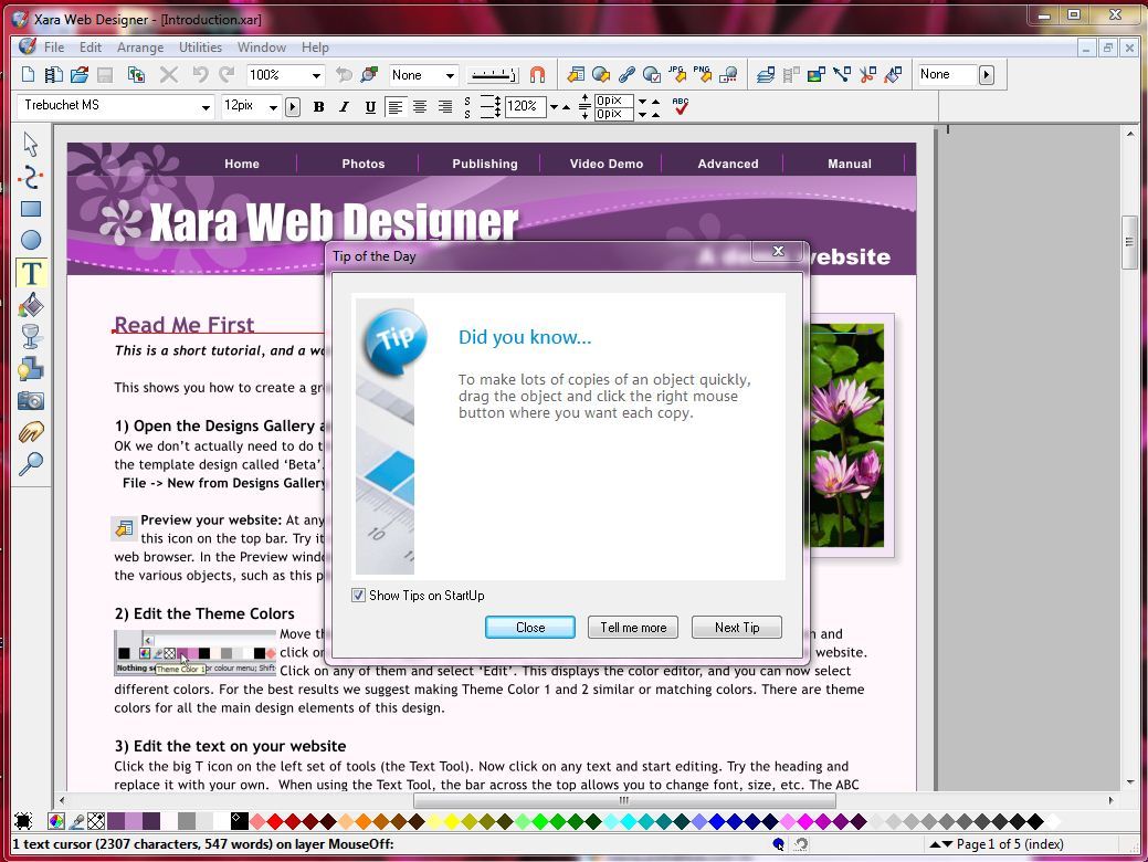 xara web designer template